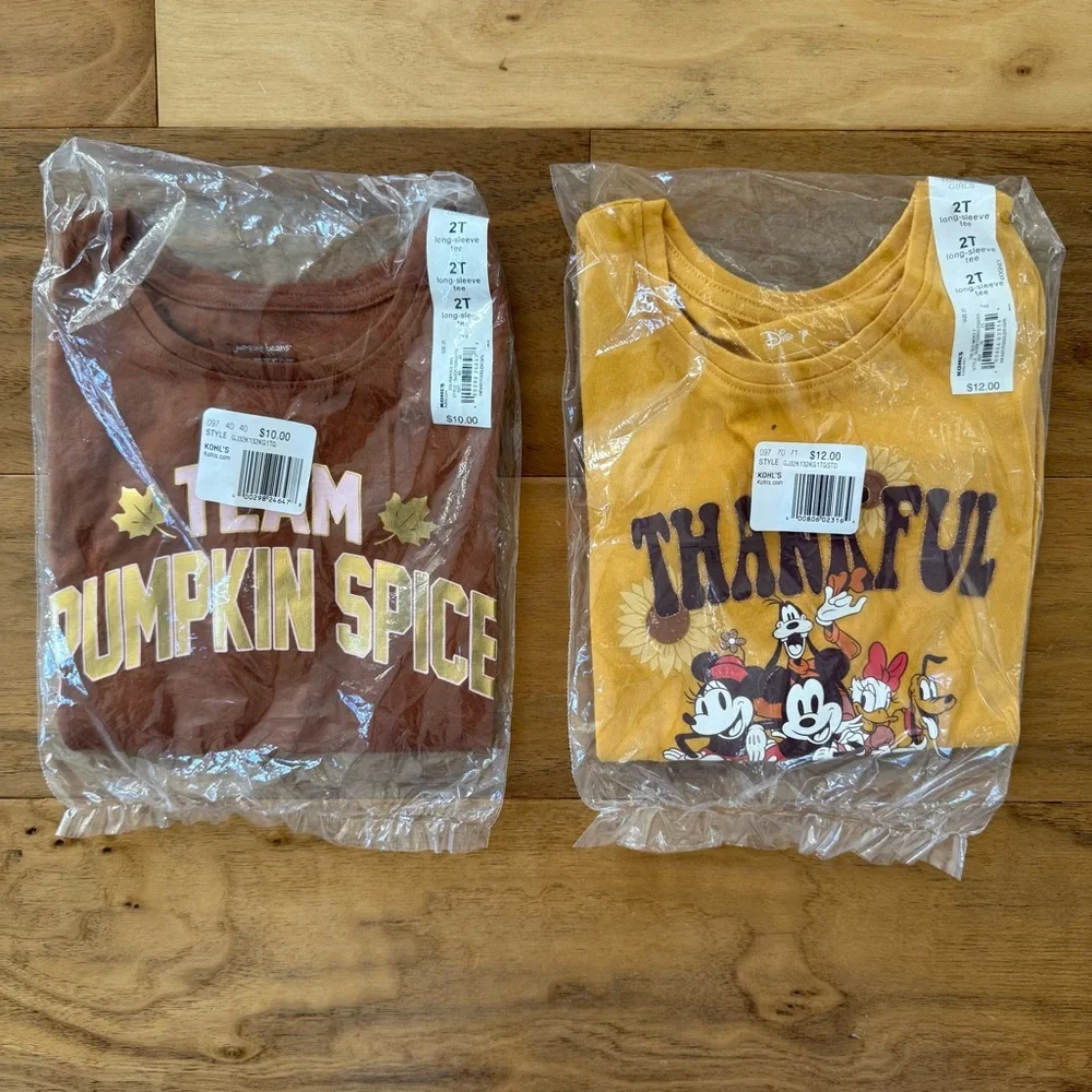 Brand New Toddler Girls Autumn Themed Long Sleeve T-Shirts, Size 2T, NWT